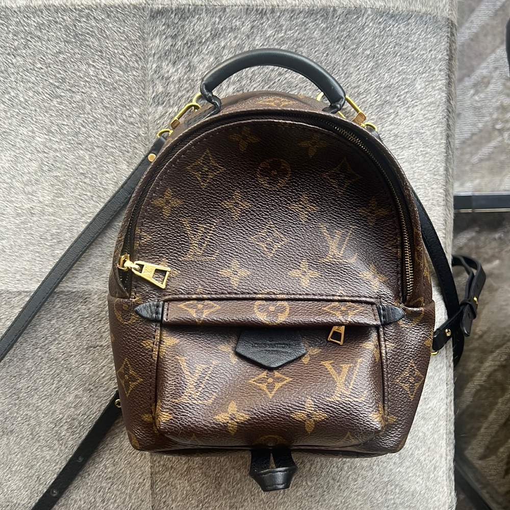 Louis Vuitton Palm Springs Mini Backpack